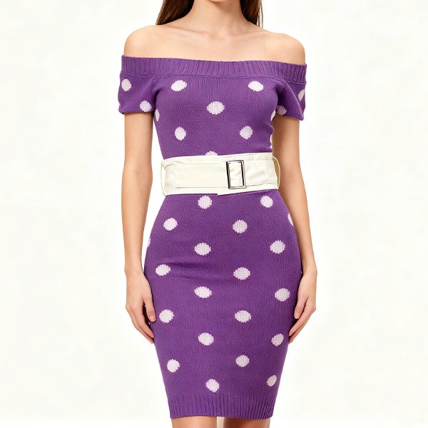 Women's Premium 2025 Fall Dress - Euro-American Patchwork Wide Belt